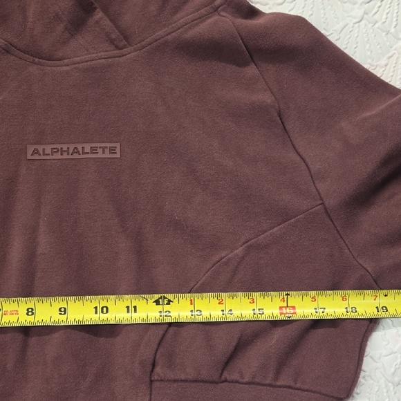 Alphalete Burgundy Identity Jogger Set - Picture 3 of 10